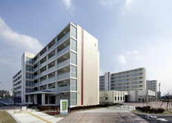 南町紫市場(仮設店舗等)